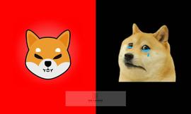 SEC:柴犬价格形成杯子和手柄模式，这是什么意思？_VGX