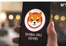 SHIBA:Shiba Inu进入僵局，这可能会结束_SHIB