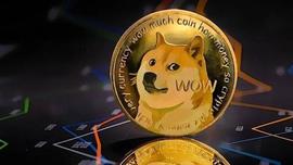 COI:狗狗币价格预测–马斯克Twitter交易接近关闭，DOGE将爆炸10倍？_Winter Dog