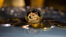 DOG:狗狗币的价格能在马斯克的手下达到 1 美元嘛？_DOGE
