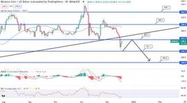 ANC:BNB 价格预测 – 上涨 4% 至 247 美元，这种复苏能否持续？_NCE