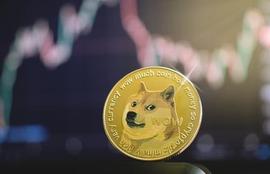 ANN:一天之内狗狗币的市值就剩下 10 亿美元；DOGE 的下一步是什么？_channels币历史行情图
