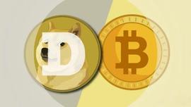 TER:狗狗币-比特币对“可能”暴涨 100%_DOGE