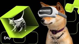 TAL:柴犬 (SHIB) 价格可能下跌的 2 个原因_TVL