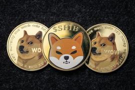 FLOKI:2023 年 1 月最值得关注的 5 个模因硬币_LOKI