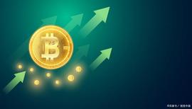 BTC:USDC 炸了？新币开炒去中心化是未来！_SDC