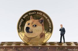 加密货币:马斯克放弃比特币-Doge会是下一个吗？_nomad币重启