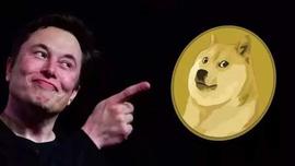 WEB:狗狗币可能凉了？_WEB3COIN