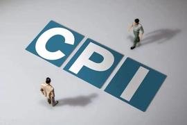 CPI:美国2月CPI估计值_MBE
