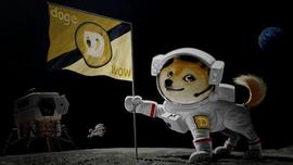 EOS:看完狗狗币今年的价格历程，你还会钟情狗狗币吗？_LION