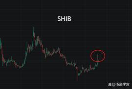 SHIB:BTC纹丝不动终有日，快了_Shima Enaga