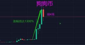 比特币:狗狗币、SHIB之前那些几天内拉升十几倍的币种，后来都怎么样了？_1比特币等于多少美元