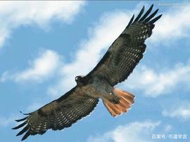 :真6了，赚了指数赔了q教育的失败？_