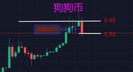 马斯克:狗狗币庄家终于对散户出手了吗？_马斯克飞行汽车
