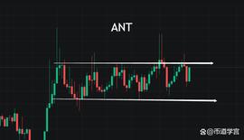 ANT:黑夜无论如何悠长，白昼总会到来的_antiqueplatform