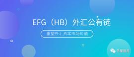 ASP:EFG：外汇资本市场革新者，开启外汇价值新纪元_Rainmaker Games