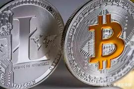 比特币:比特金，莱特银，减半影响的价格预测_MICRO