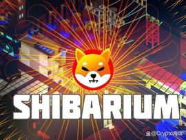 SHI:Shiba Inu：如何在 Shibarium 上质押 BONE 以获得被动收入_BON