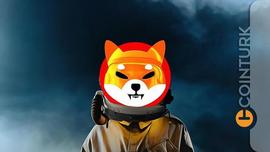 SHIBA:SHIB生态系统失去 模因币的市场份额？_Joey Inu