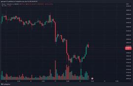 AVA:随着比特币争夺 3 万美元，Radix (XRD) 每日暴涨 30%_CHE