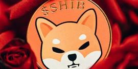 Voyage:Shiba Inu：由于Binance-Voyager交易失败，3.1万亿代币面临风险_Voyager Token