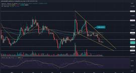 DOG:DOGE将在五月结束突破0.1美？_MYDOG Token