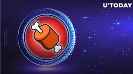 OIN:SHIB代币 BONE 确保新交易所上市_MACH coin