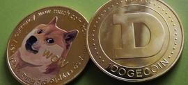 AIN:在暴跌 13% 之后，Shiba Inu 仍然是第 12 大加密货币_AINU