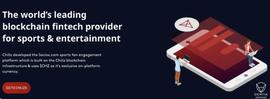TOKEN:一文概览世界杯加密项目_FAN
