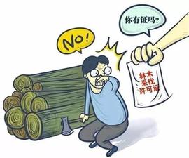 THE:林木采伐专业术语_Lattice