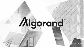 LGO:背景深厚的公链王者Algorand（Algo）跌幅已达十倍，后市如何表现_algo币还有救吗
