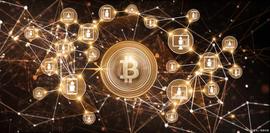 NEO:NEO：中国的去中心化区块链平台_区块链