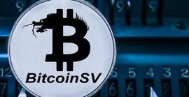 OSHI:BCH与BSV“分手”100天：谁才是中本聪的愿景？_Baby Satoshi