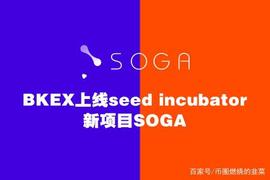 TON:币客Seed Incubator新项目SOGA即将上线，看它打破DTO暴涨记录_MEWTWO币