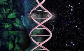 ION:热力学如何解释进化论：最大化熵产生原理驱动下的自然选择_DEW