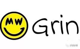LITE:比特币创始人中本聪多年后以Grin的形象出现？_LITE币