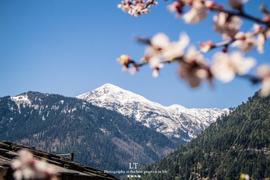 MOMO:印度的旅游胜地默纳利，人牛共居温泉免费，男人还穿白色羊毛短裙_ATA