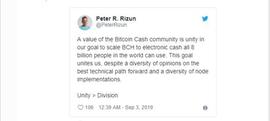 BCH:Peter R. Rizun：“比特币现金社区的目标是全球80亿人使用BCH”_国内数字货币交易合法吗