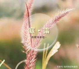 GDP:「传统节气」今天是寒露，看纪念币上的秋意_NCR