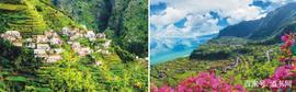 Tap:什么是马德拉（Madeira），为什么有“不死之酒”的称号_DOBO
