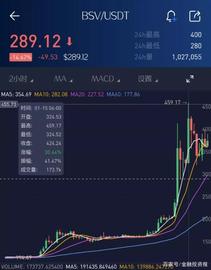 比特币:7天涨4倍！网红行情烧到币圈，第一网红澳本聪是比特币创始人？_bsv币的前景怎么样