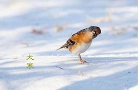 COI:今日大寒：造物无言却有情，每于寒尽觉春生_bitcoin交易所app下载sv