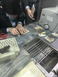 DIS:担心沾染病，女子将51张人民币放微波炉加热，结果全焦了_DIS