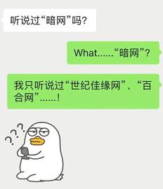 MED:远离“暗网”，远离犯罪_SPO