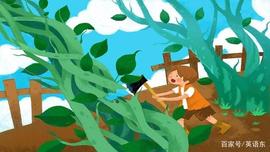 GIA:杰克与魔豆 Jack and the Beanstalk - Bedtime Story_AND