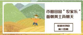 以太坊:币圈田园“农家乐”，面朝黄土背朝天？_Brainaut Defi