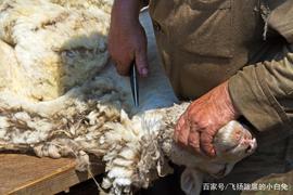 USH:谁说Defi谢幕？UNI上万空投沸腾币圈,你领到了吗？_DEX去中心化交易所排名