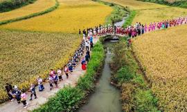 REA:每日一词∣中国农民丰收节 Chinese Farmers'' Harvest Festival_sand币价格