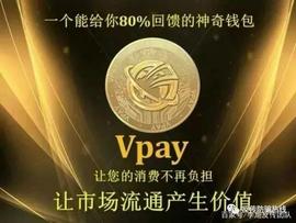 TFC:“VPAY虚拟货币”特大网络案 四名主要头目被公诉_APP