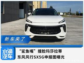 FOR:“鲨鱼嘴”撞脸玛莎拉蒂，东风风行SX5G申报图曝光_GHST币